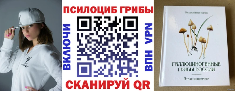купить наркотики сайты  Пятигорск  Псилоцибиновые грибы прущие грибы 