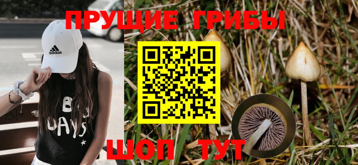 Пятигорск  Галлюциногенные грибы Psilocybe  Вход с VPN 