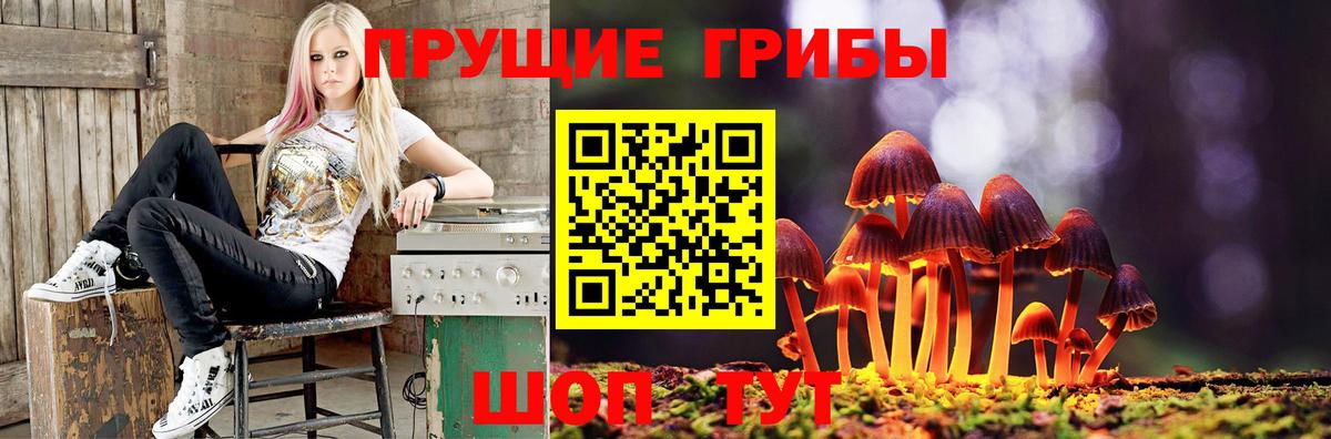 Псилоцибиновые грибы Magic Shrooms Пятигорск